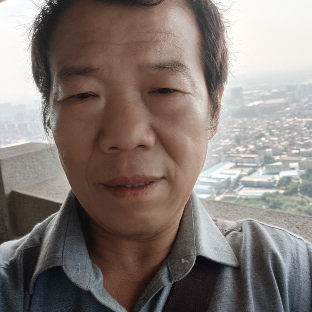 秋季的风叶的照片