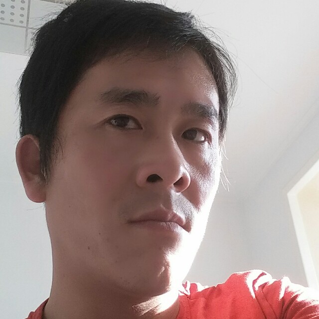 幽默黄蜂的照片