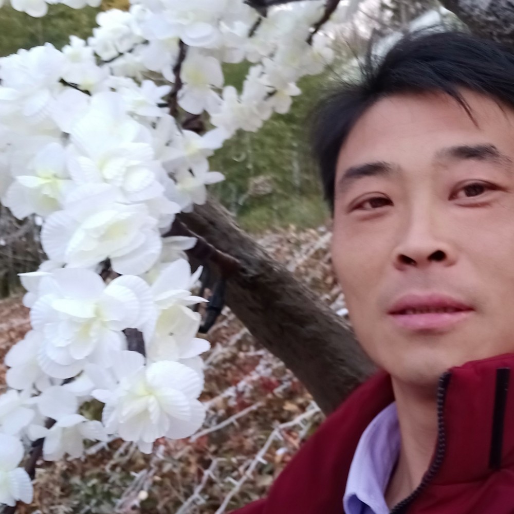 一生一世守候你的照片