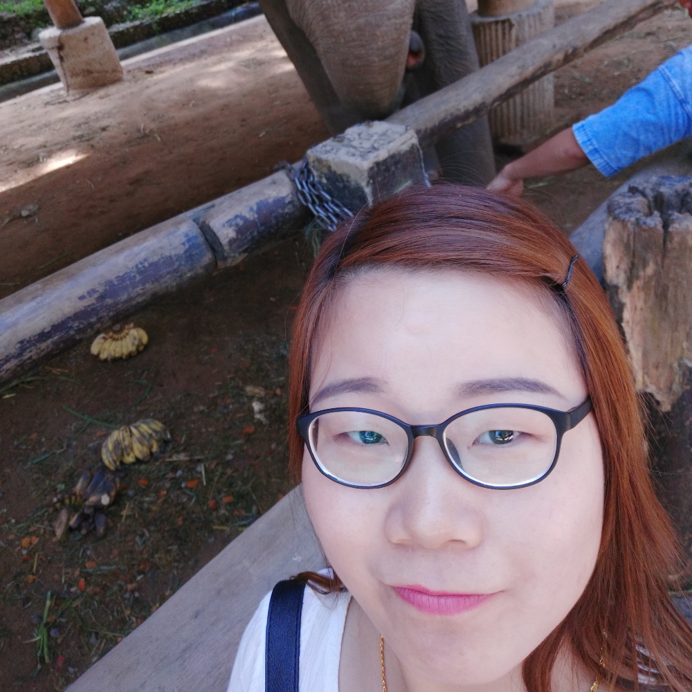 锦瑟一笑倾城的照片
