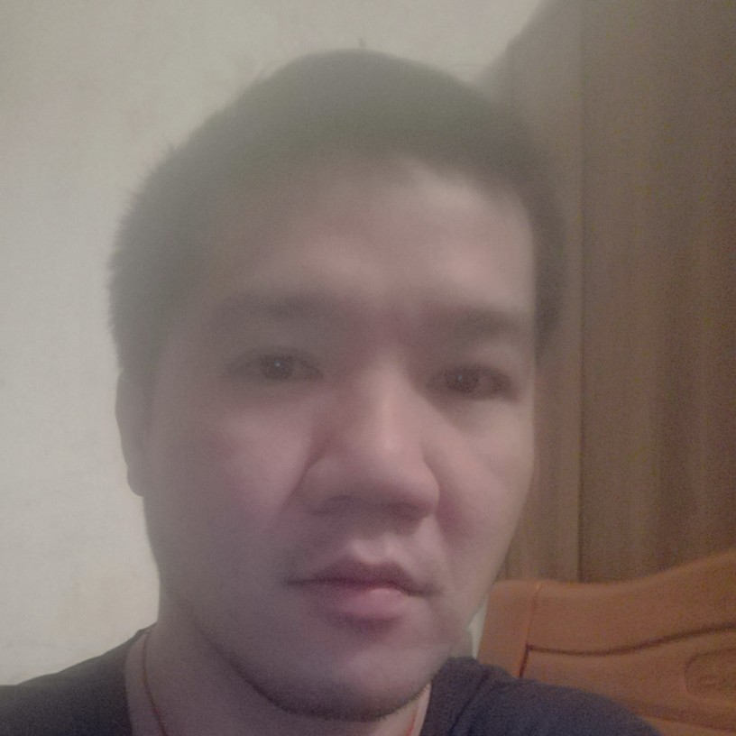 白猫笑老实的照片