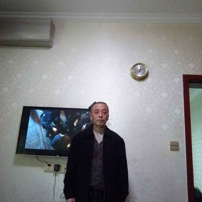 零碎泥猴桃的照片