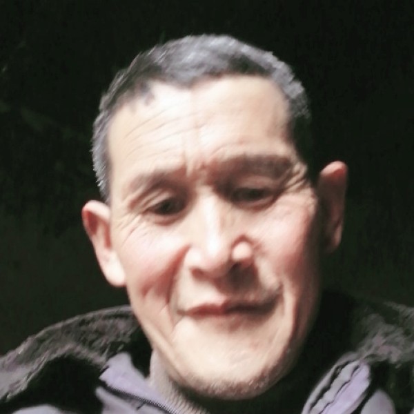 沉静倾心晨阳的照片