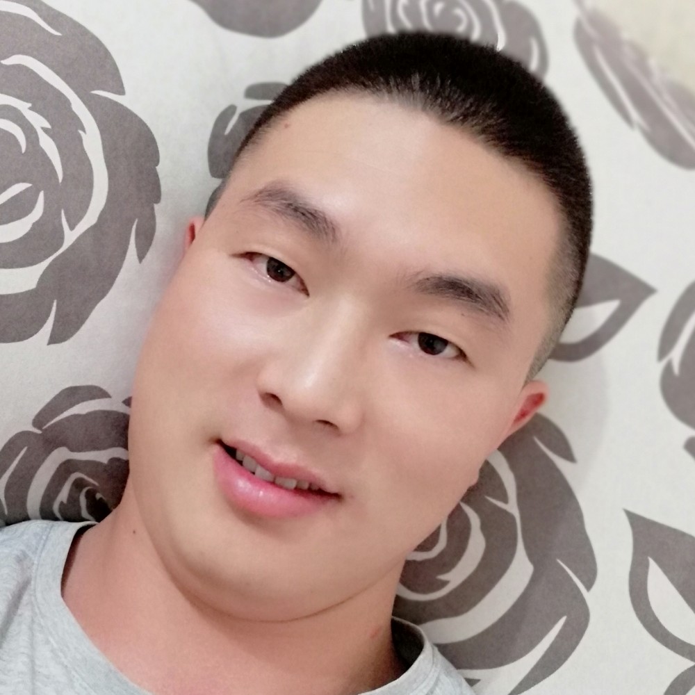 沉静黑猫的照片