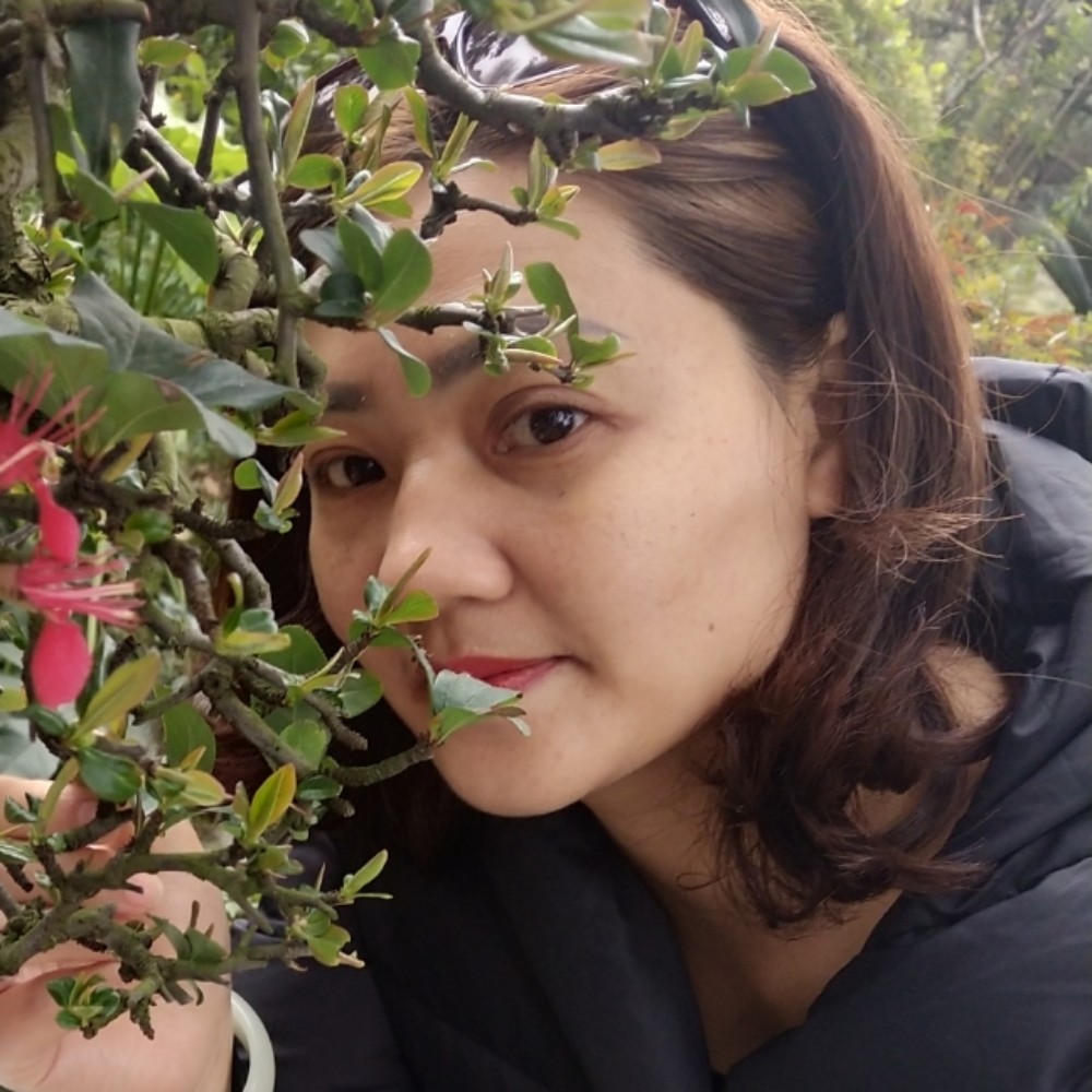 孤单百合的照片