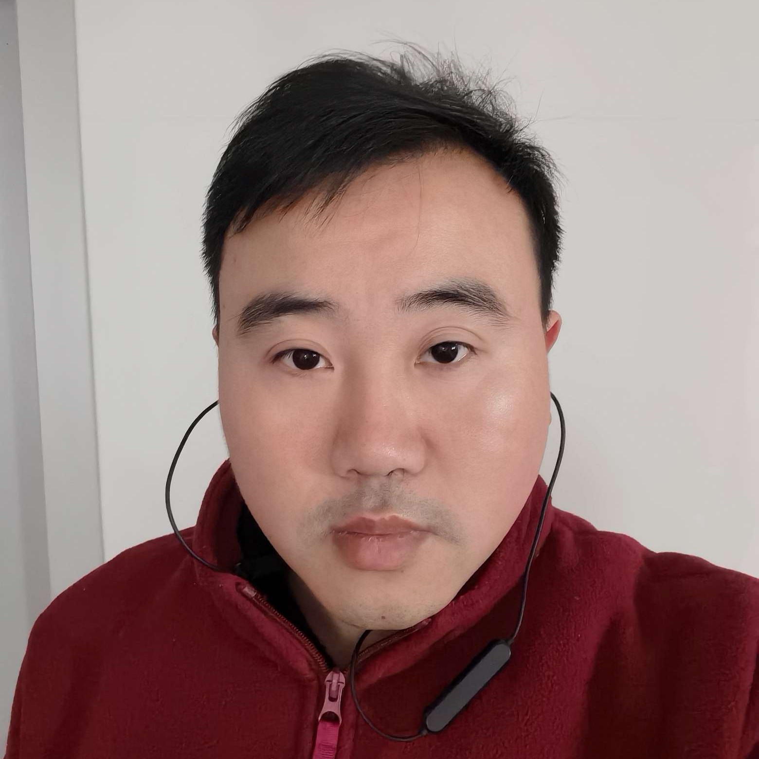 一只孤独的虎的照片