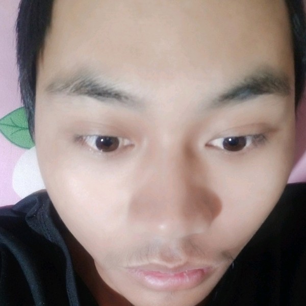 洛尘蹁跹传统的照片