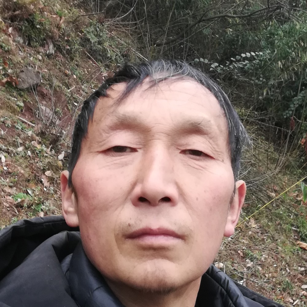 深林居士的照片