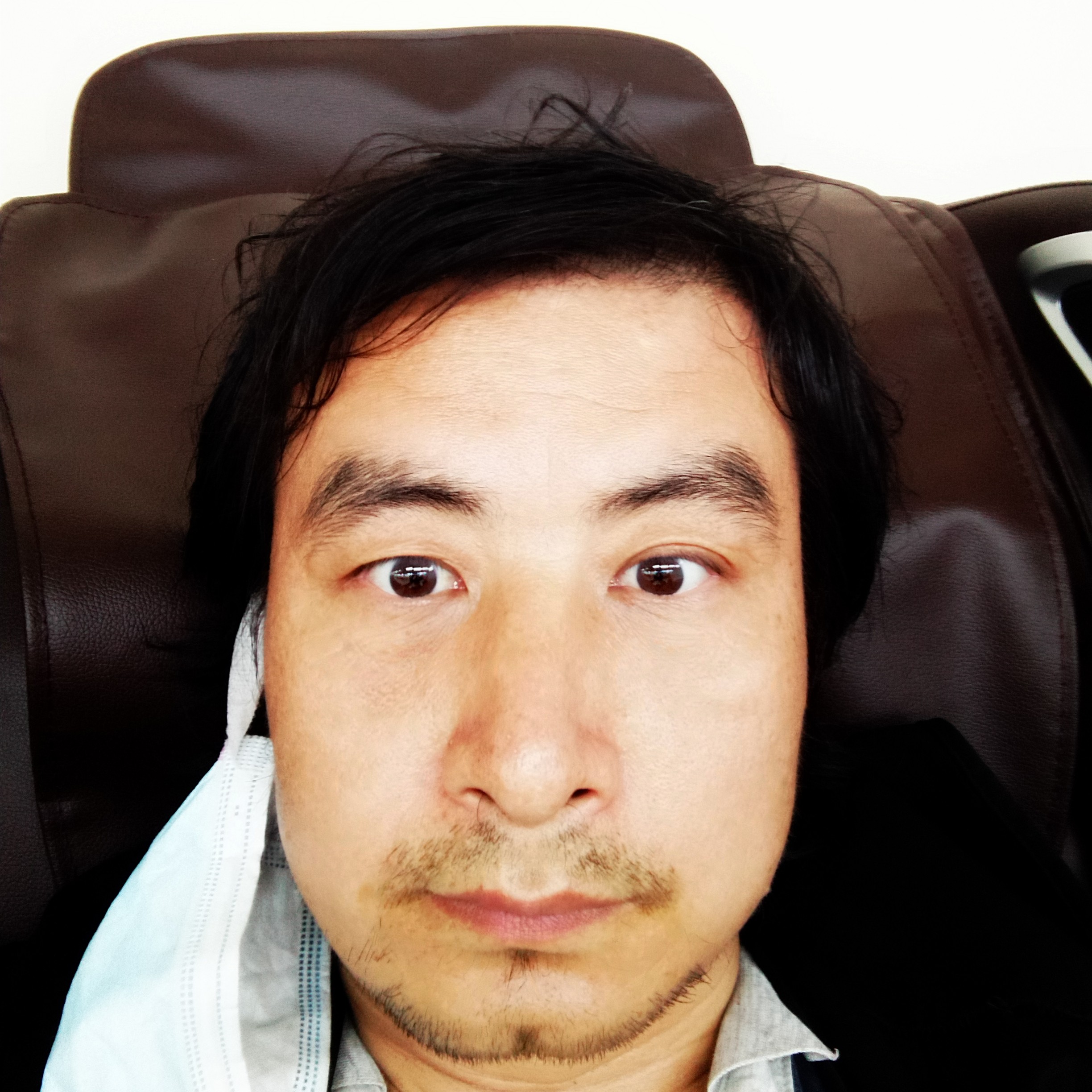 猫在的照片