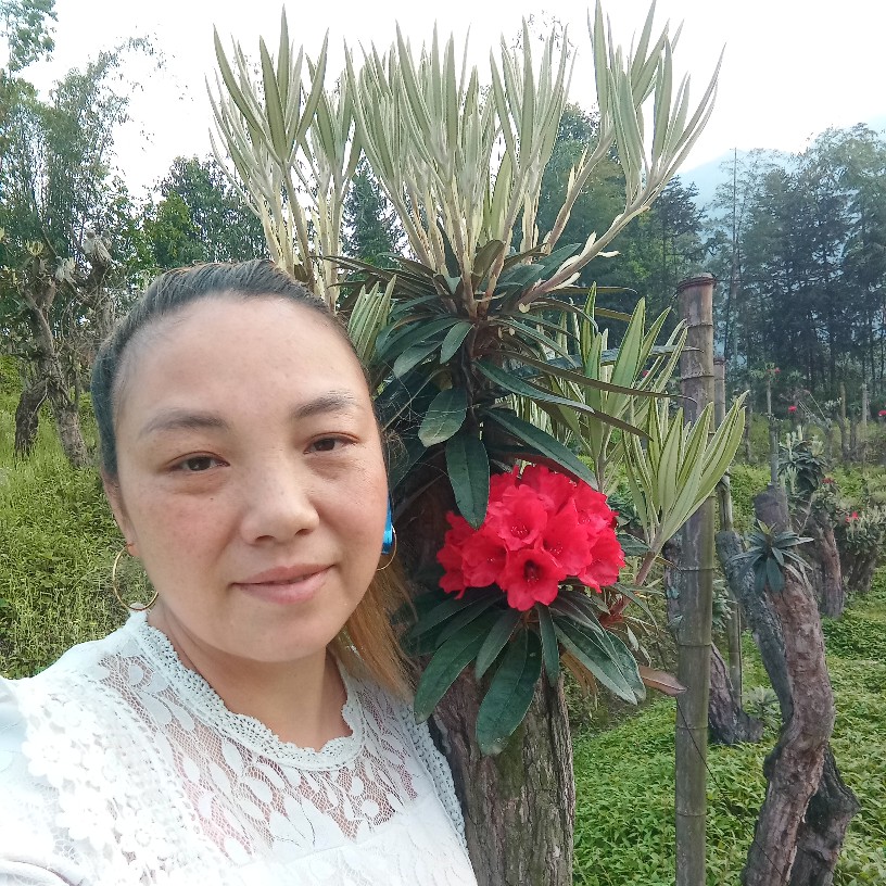 绿茶开心的照片