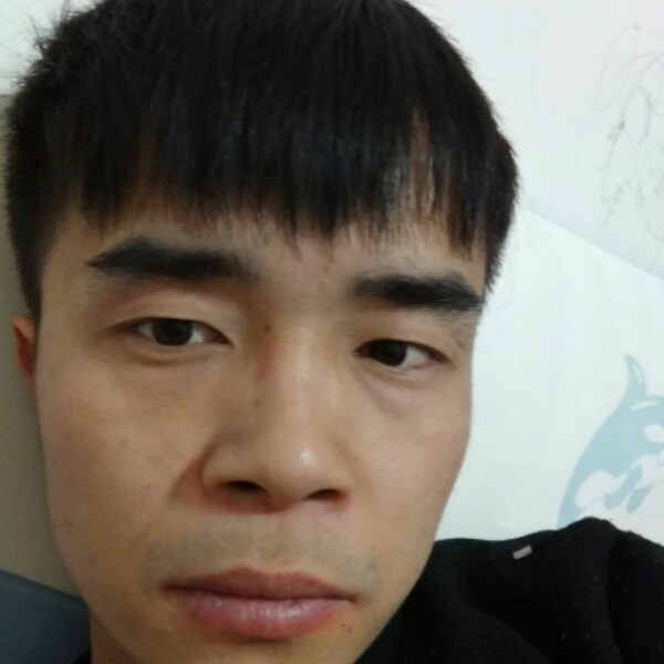 野草随风缥摇的照片