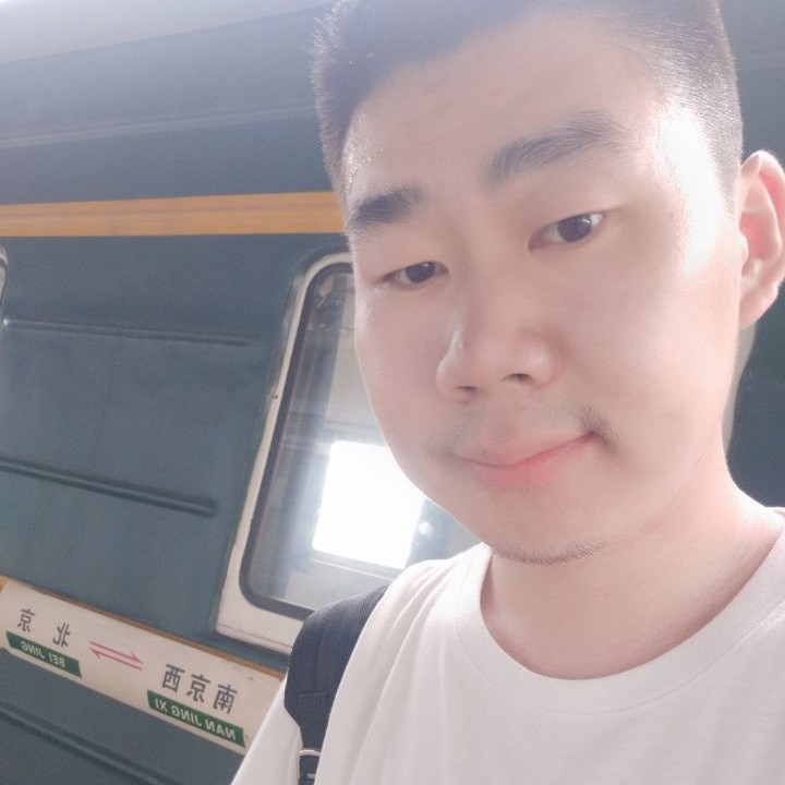 孤单的鲸的照片