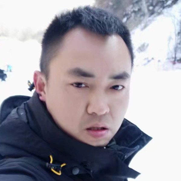 舒适演变森槿的照片