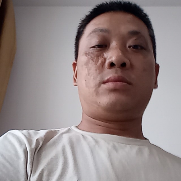 马的照片