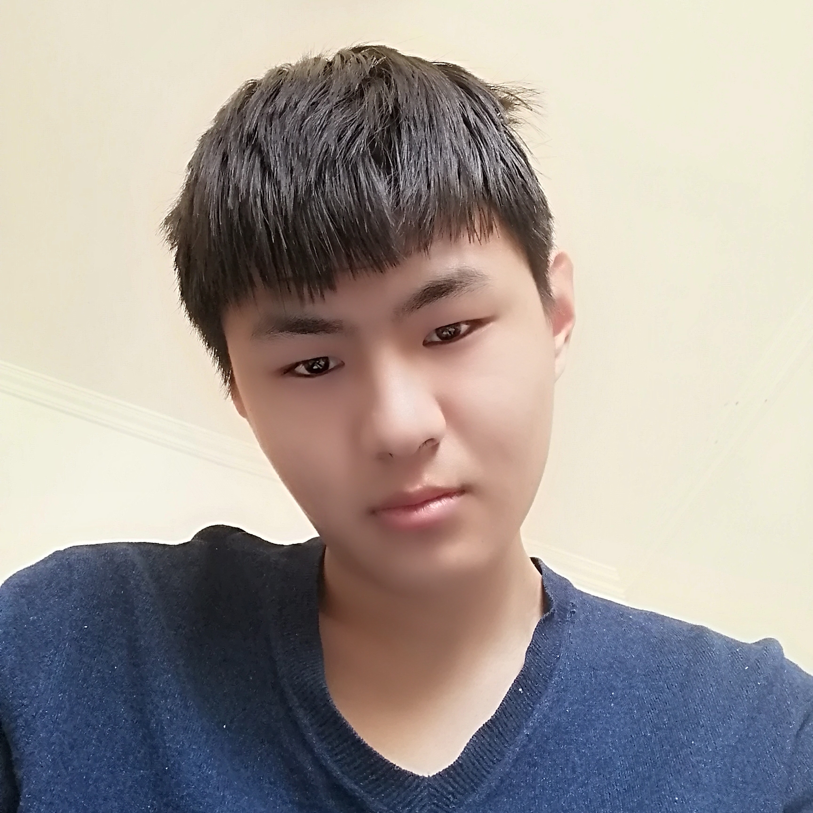 朴实笑向日葵的照片