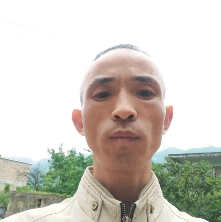 专注迎芹菜的照片