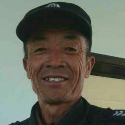 大船聪明的照片
