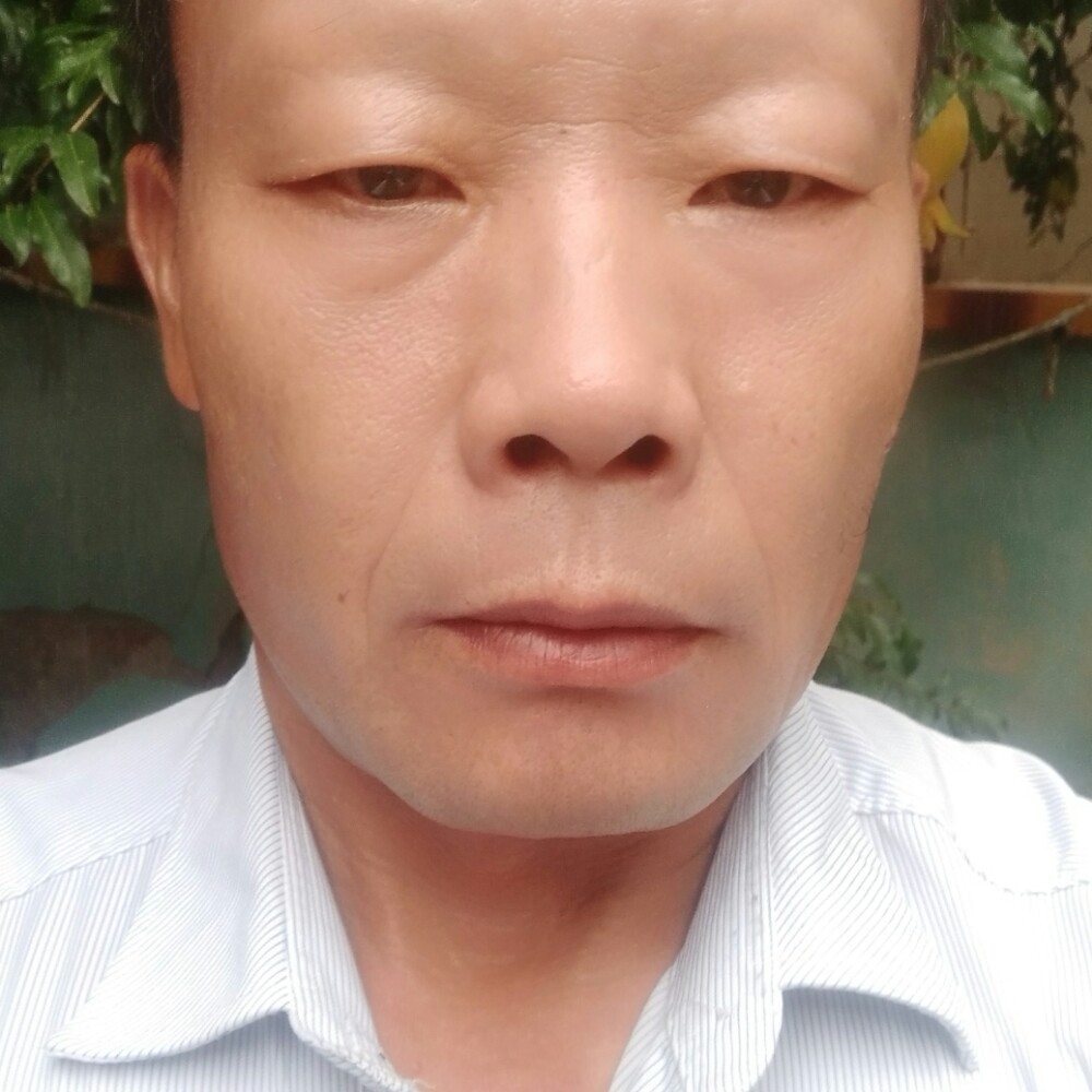 逐风泪了安详的照片