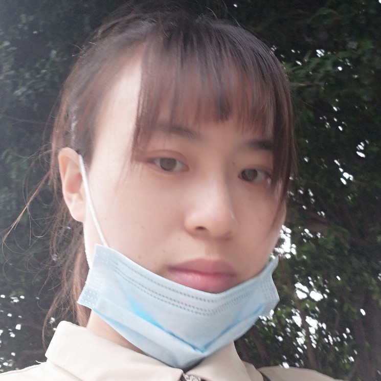 麋鹿迷路了的照片