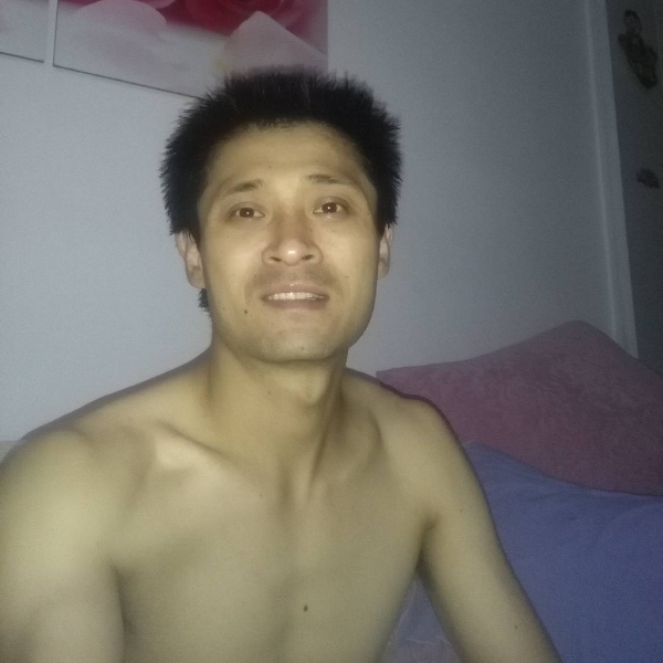 小狗胜的照片