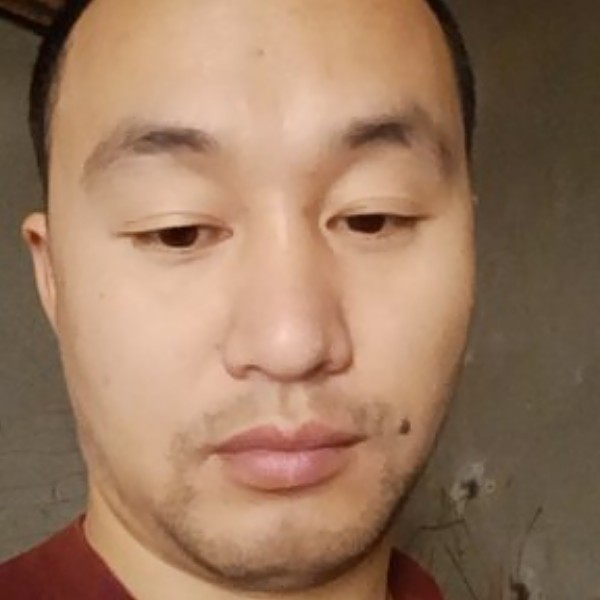 鸡翅蹙眉美丽的照片