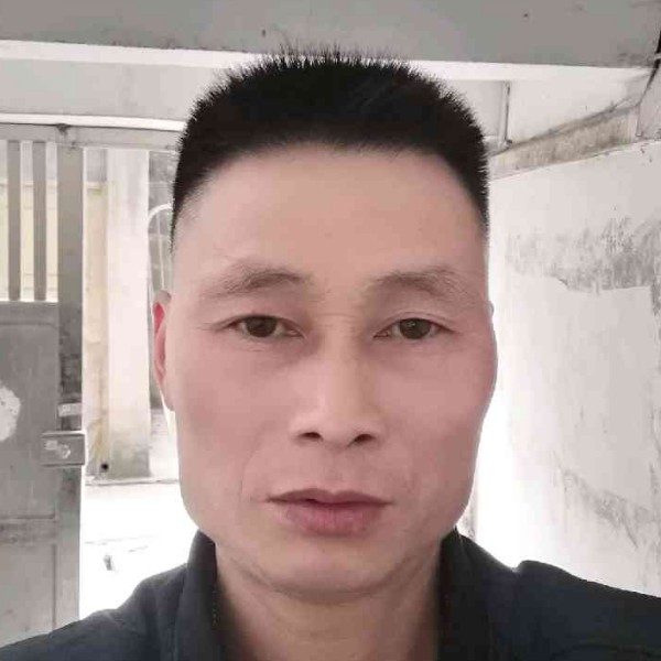 灰狼还搞怪的照片