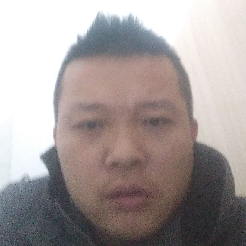 浪浪狼的照片