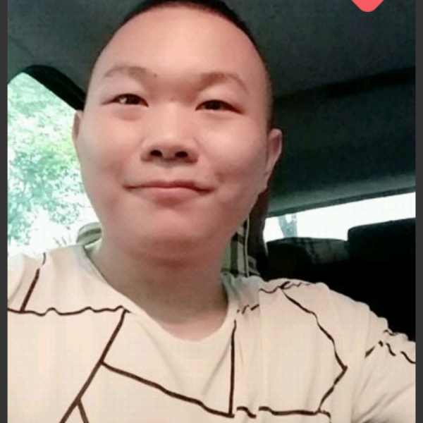 含羞草优美的照片