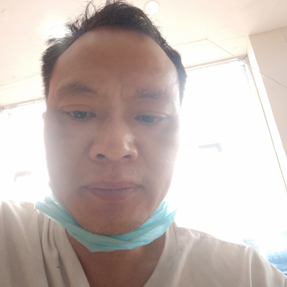 康乃馨合适的照片