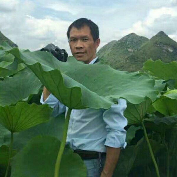 思荷的照片