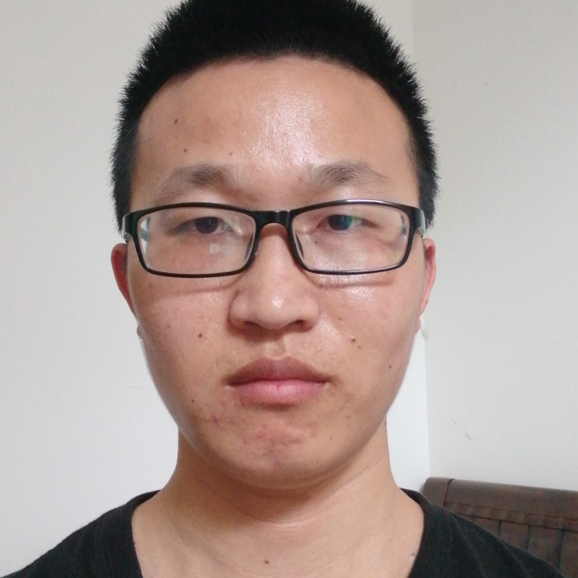 草丛务实的照片