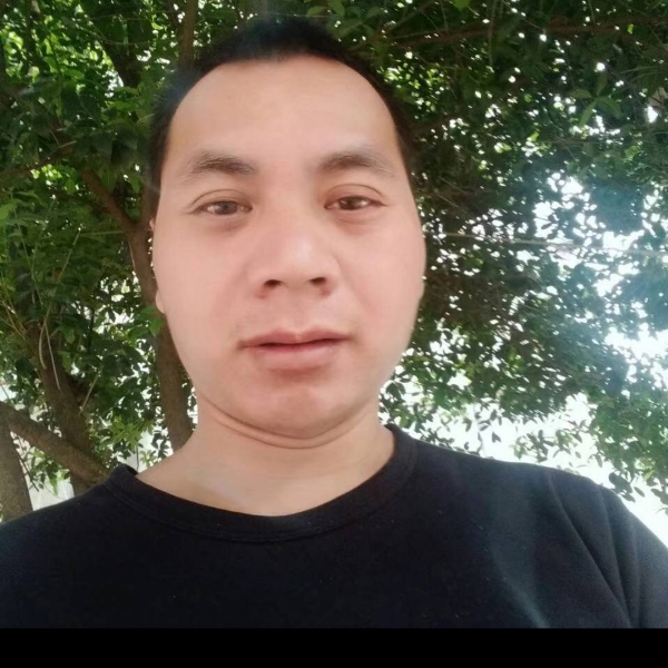 老鼠迎单身的照片