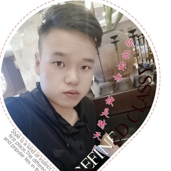 酷炫苦恋刺猬的照片