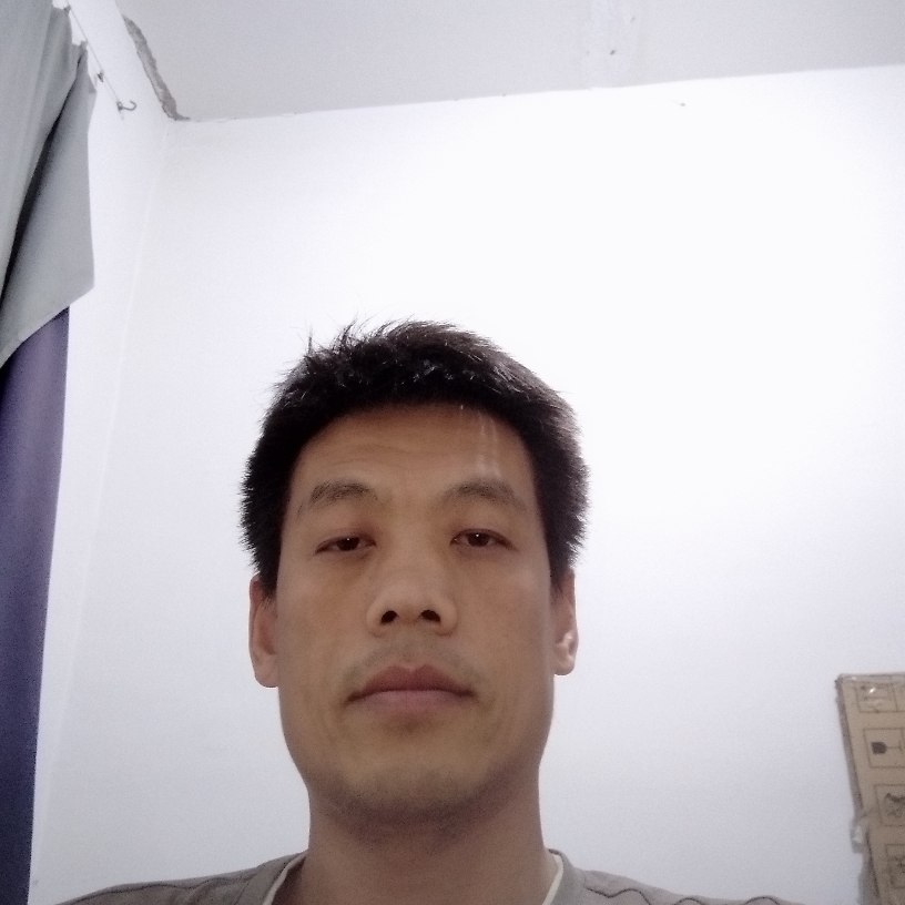 猫咪停止不安的照片
