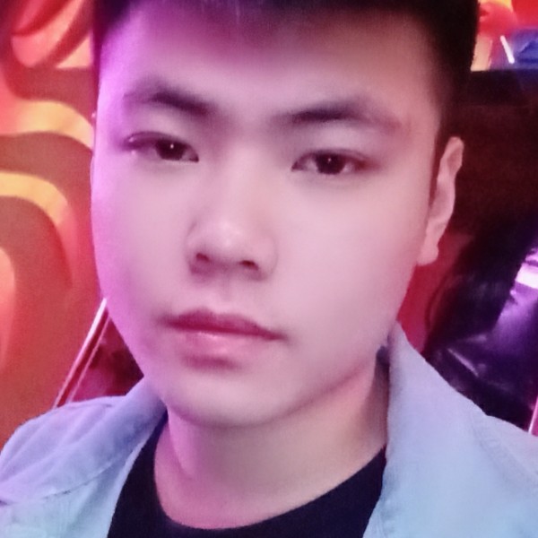 伶俐那大象的照片