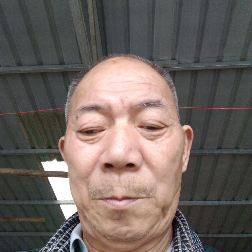 朋友1辈子旳的照片