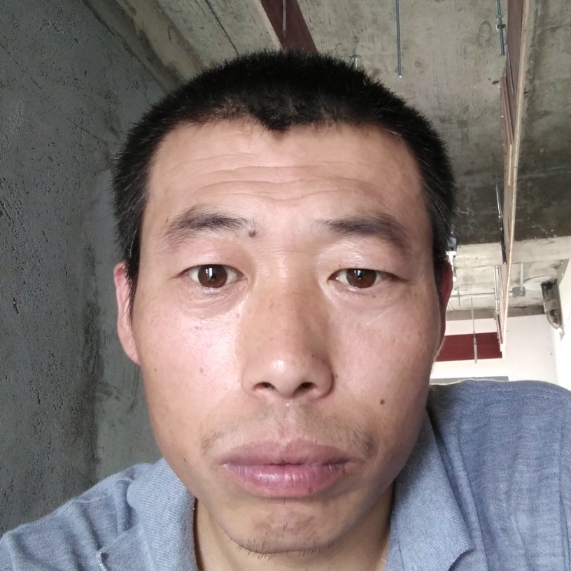 巨人爱恋勤劳的照片