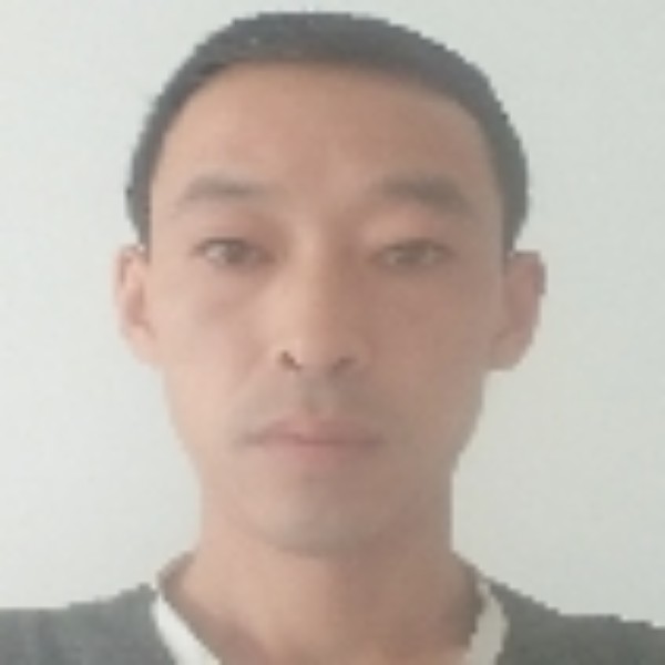 孤狼的照片