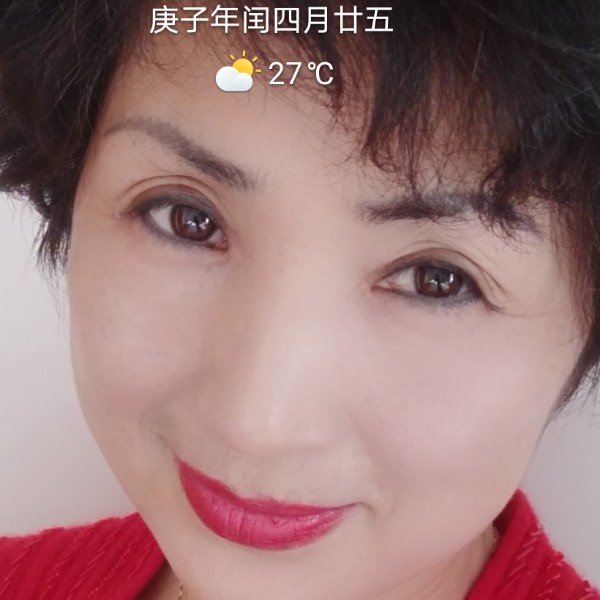从容浅吻灰狼的照片