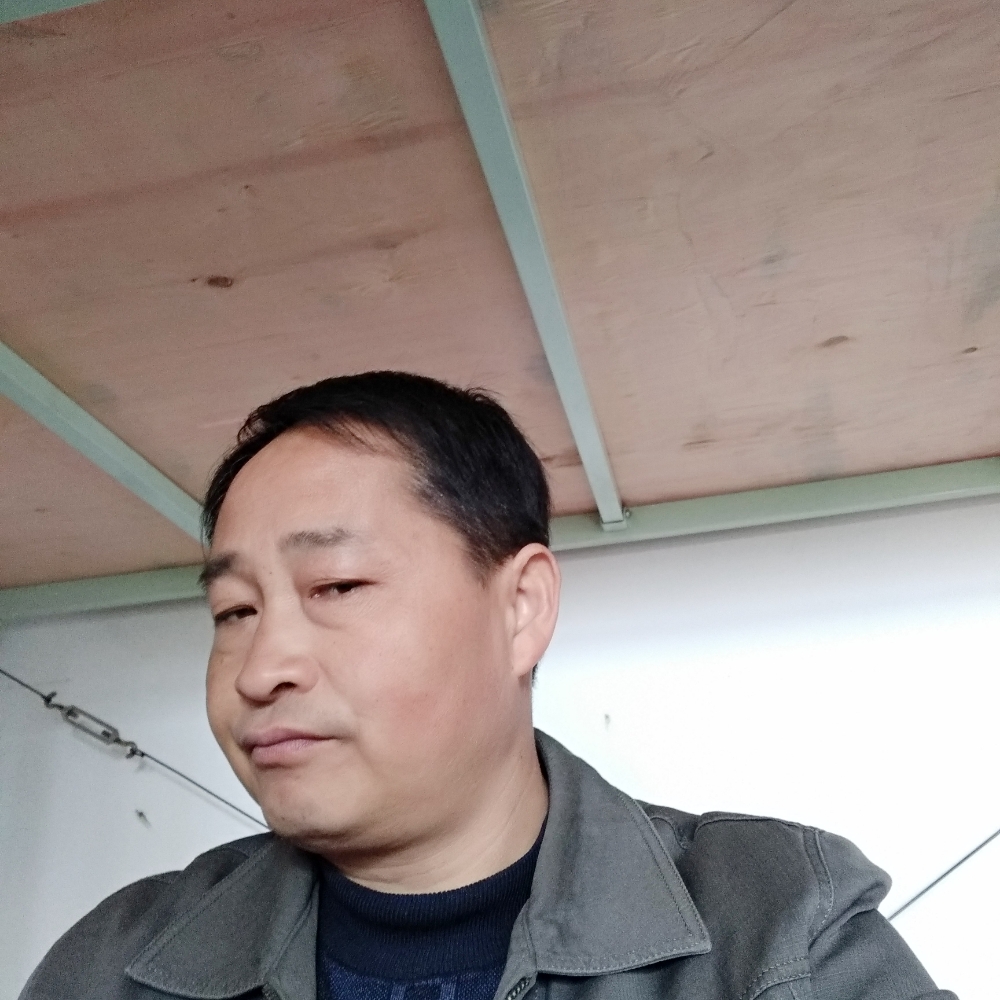 小刺猬我们的的照片