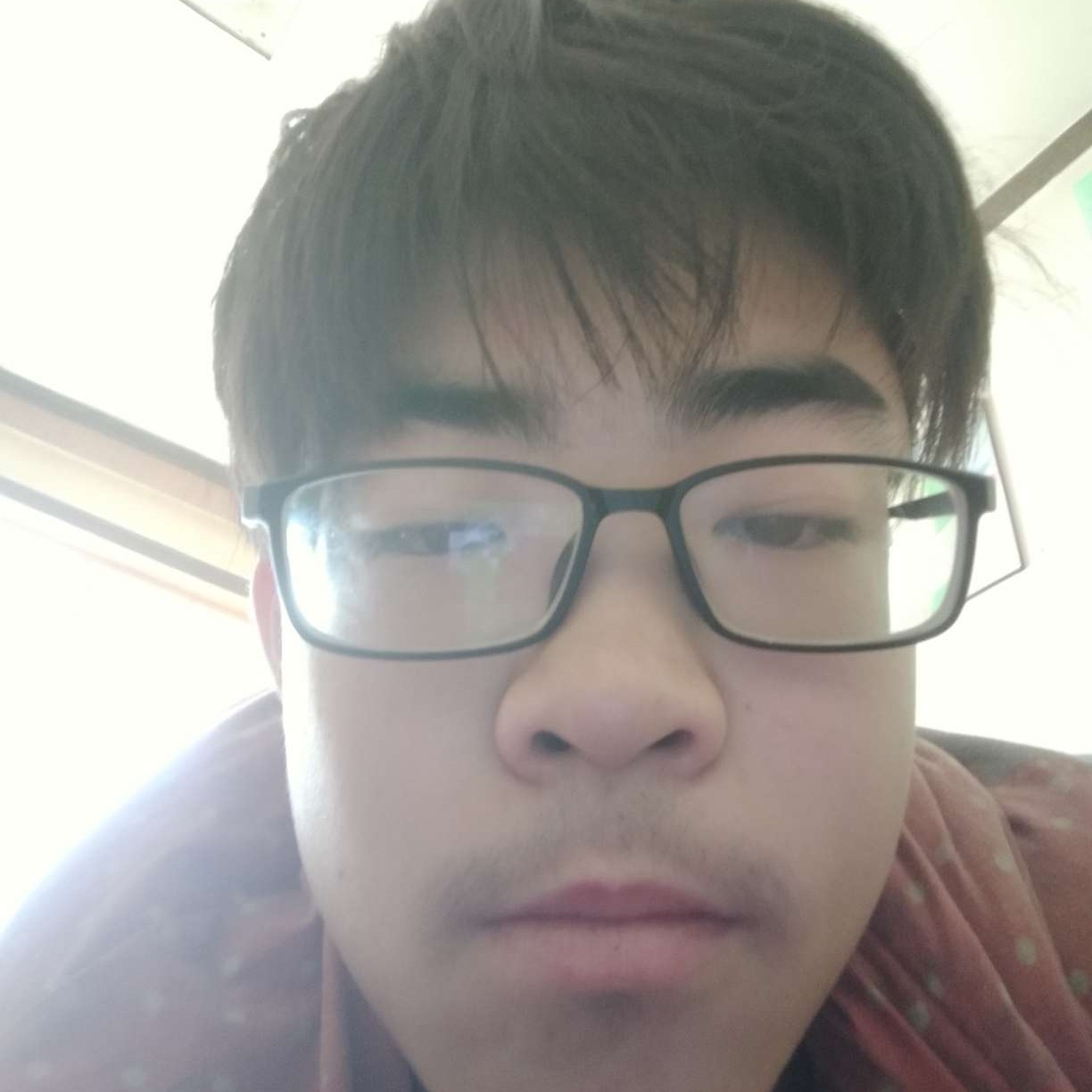 青岛186的照片