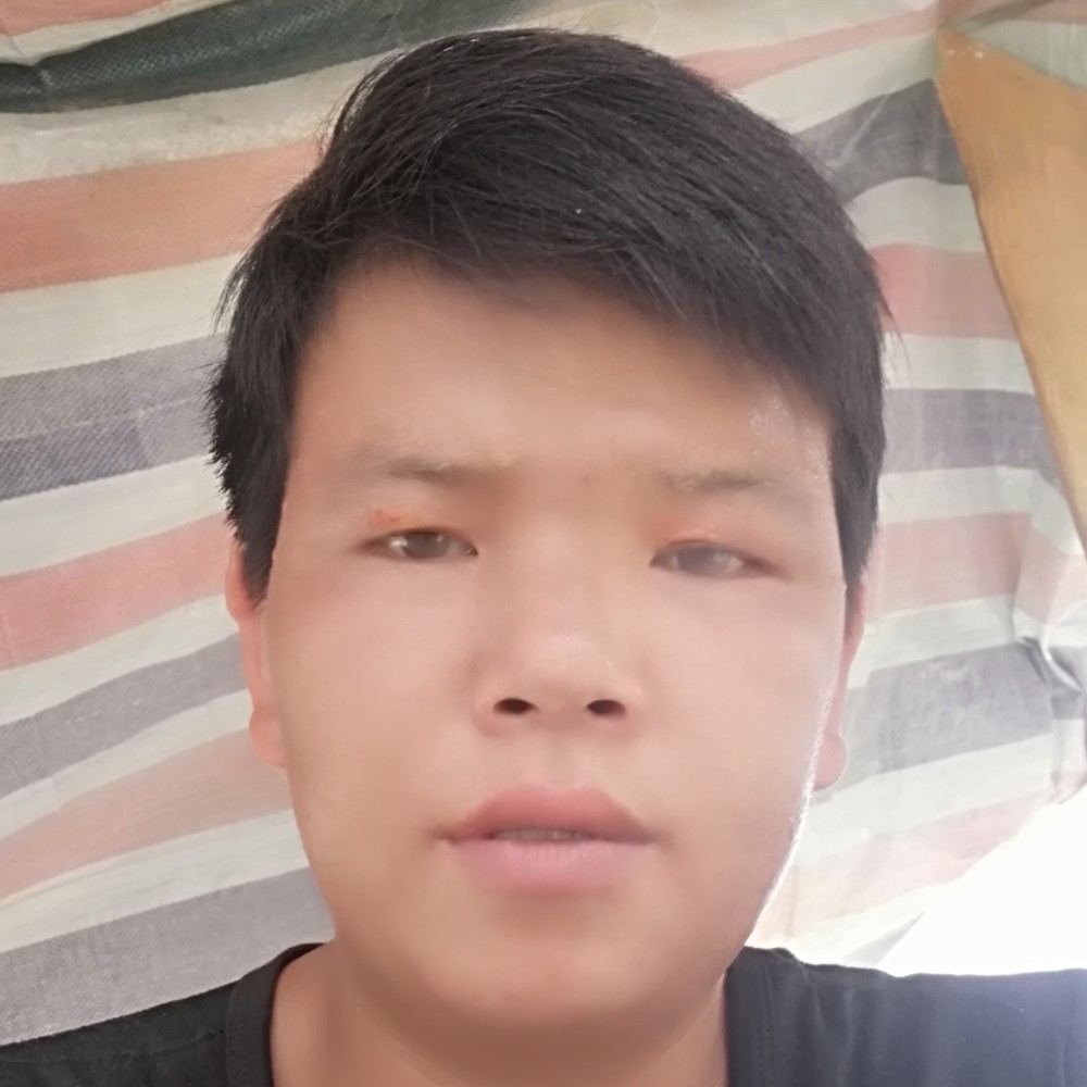 毛衣紧张，林红的照片