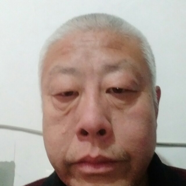 单身老白毛的照片
