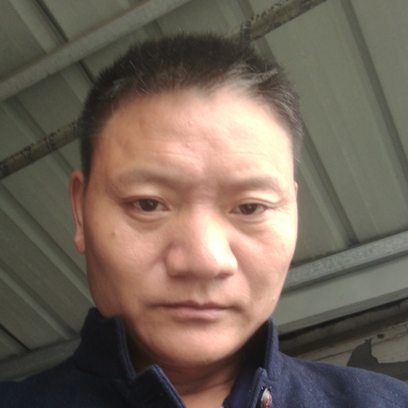喜悦大船的照片