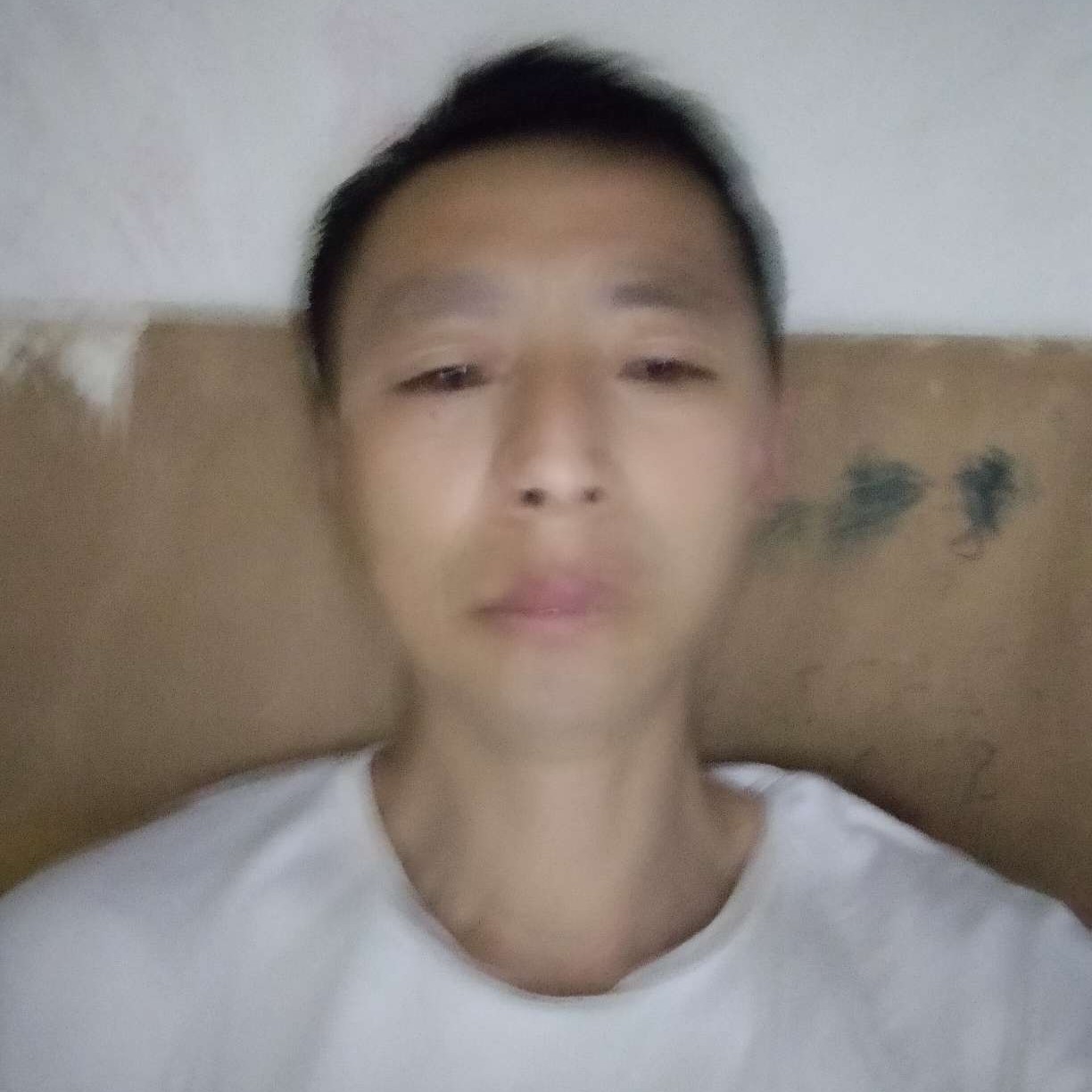 心年轻何俱老的照片