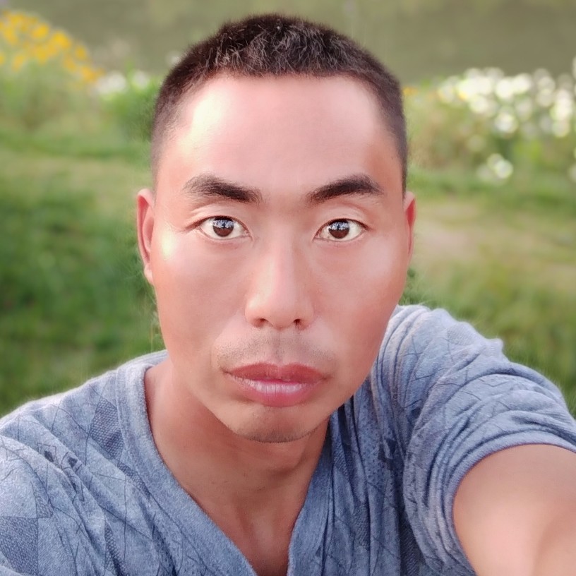 寒冬朝阳的照片