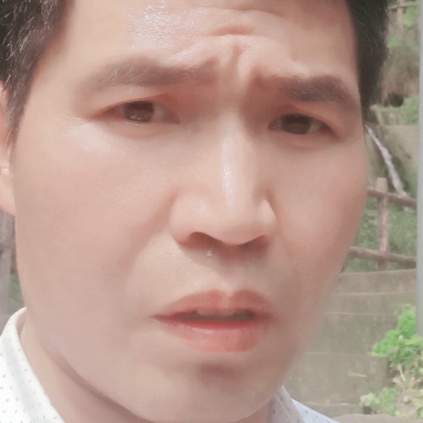 胡萝卜保卫细心的照片