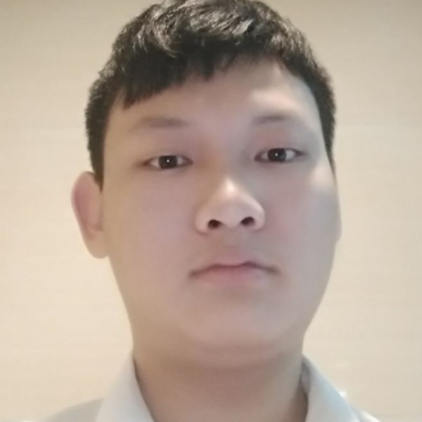 绵密枫叶的照片