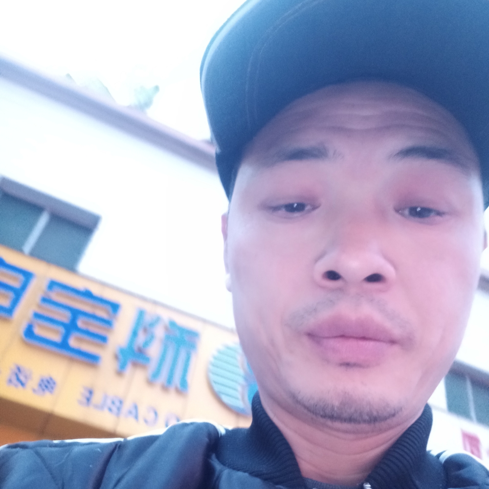 无垠河马的照片