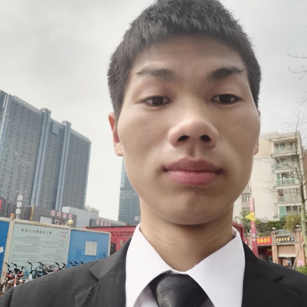 黑夜端庄的照片